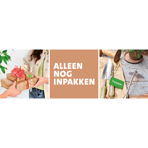 Paneel: 2988 x 988 mm. <br>Beeld cadeau