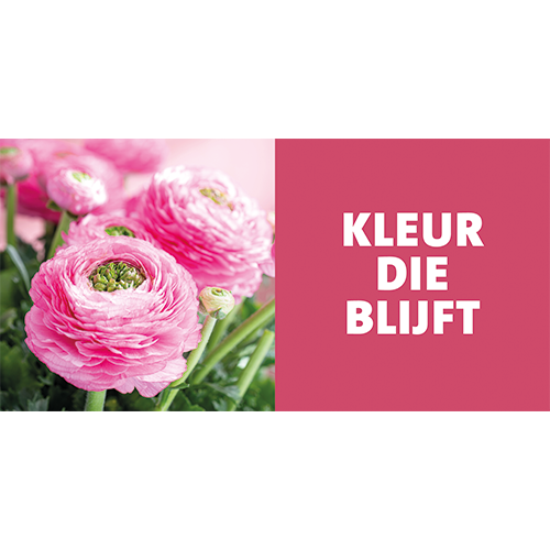 Paneel: 1988 x 988 mm. <br> Zijde planten B