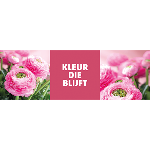 Paneel: 2988 x 988 mm. <br> Zijde planten B