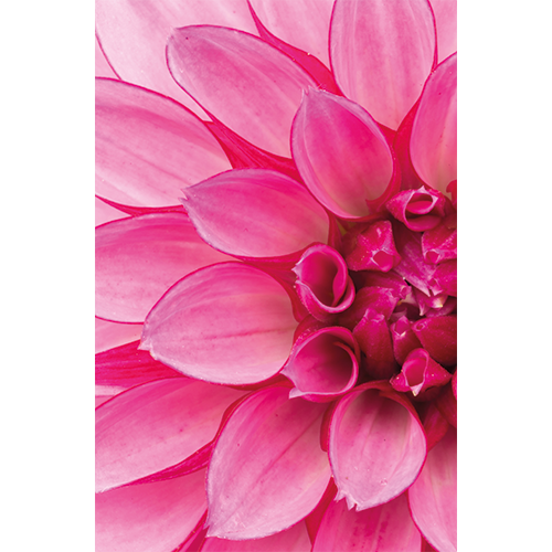 Magneetfolie: 985 x 1500 mm, <br>Zijde magneetfolie