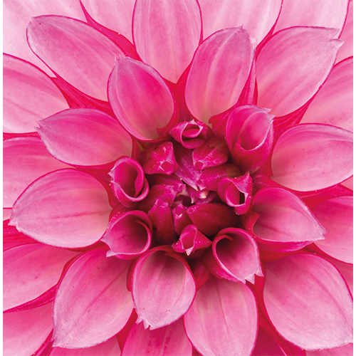 Magneetfolie: 985 x 1000 mm, <br>Zijde magneetfolie