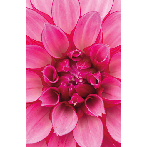 Magneetfolie: 653 x 1000 mm, <br>Zijde magneetfolie