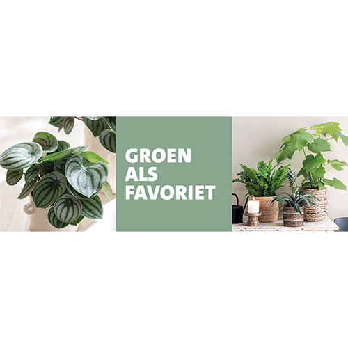 Paneel: 2988 x 988 mm. <br> Groen als lievelingskleur