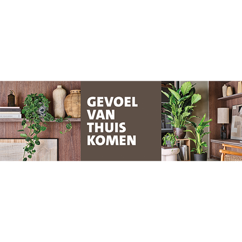 Paneel: 2988 x 988 mm. <br> Gevoel van thuiskomen