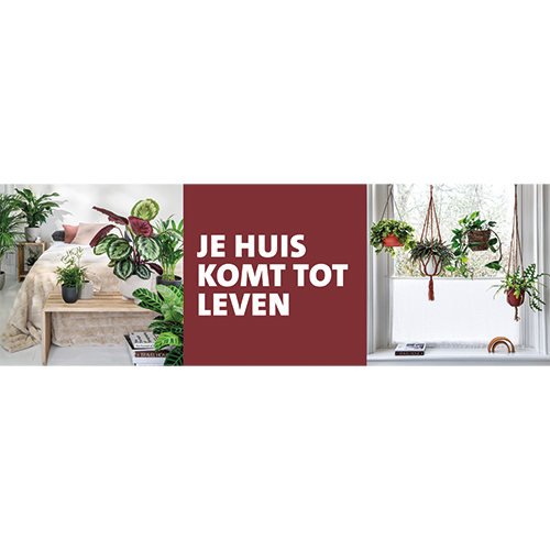 Paneel: 2988 x 988 mm. <br> Je huis komt tot leven