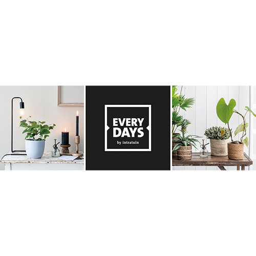 Paneel: 2988 x 988 mm. <br>Every days HR02