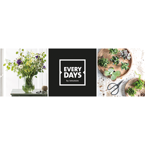 Paneel: 2988 x 988 mm. <br>Every days HR04