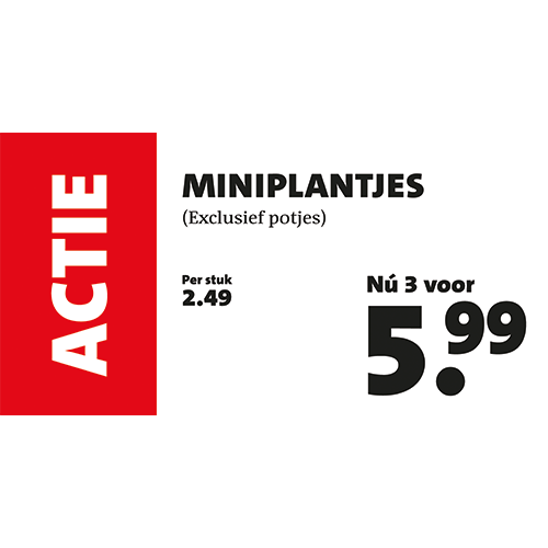 Paneel: 753 x 390 mm. <br>Opzetstuk B prijs en gemak <br>plantjes