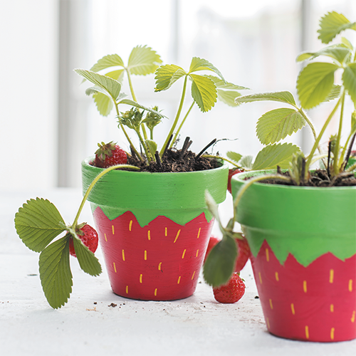 Reprop: 988 x 988 mm. <br>Kader 1_07