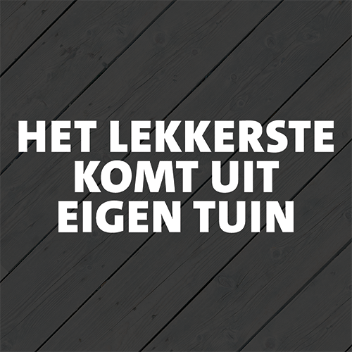 Reprop: 988 x 988 mm. <br>Kader 1_20