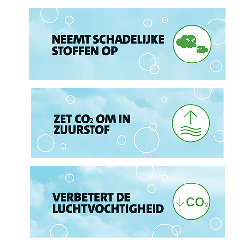 Paneel: 361 x 160 mm. <br>Luchtzuiverend <br> (set van 3)