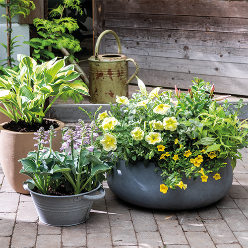 Reprop: 988 x 988 mm. <br>Kader 1_27