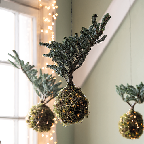 Reprop: 988 x 988 mm. <br>Kader 1_28