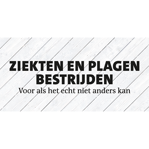 Reprop: 1988 x 988 mm. <br>Kader 2_13