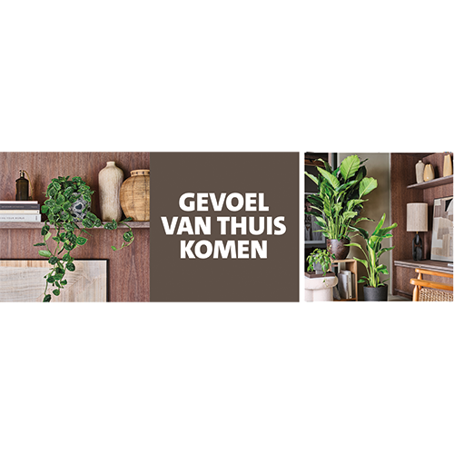 Paneel Koofsigning set: 1988 x 988mm + 988 x 988mm. Gevoel van thuis komen