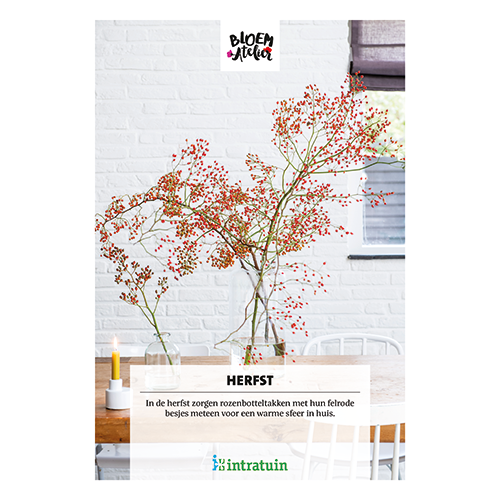 Poster: 700 x 1000 mm. <br>Herfst