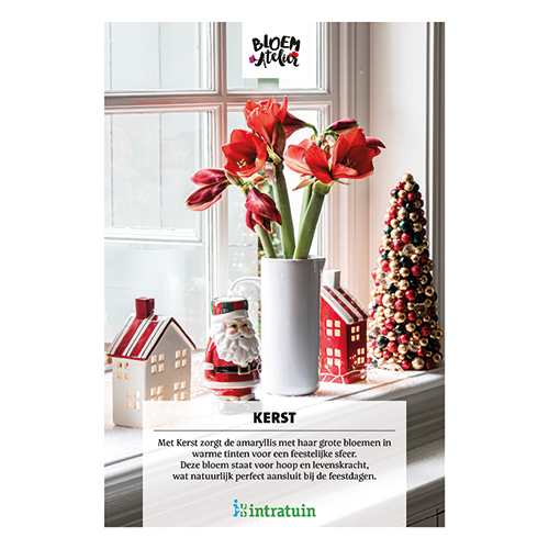 Poster: 700 x 1000 mm. <br>Kerst