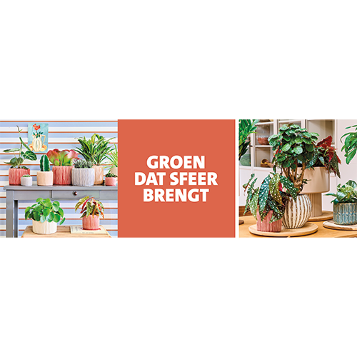 Paneel Koofsigning set: 1988x988 + 988x988. Groen dat sfeer brengt