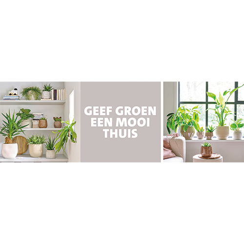 Paneel Koofsigning set: 1988x988 + 988x988. Geef groen een mooi thuis