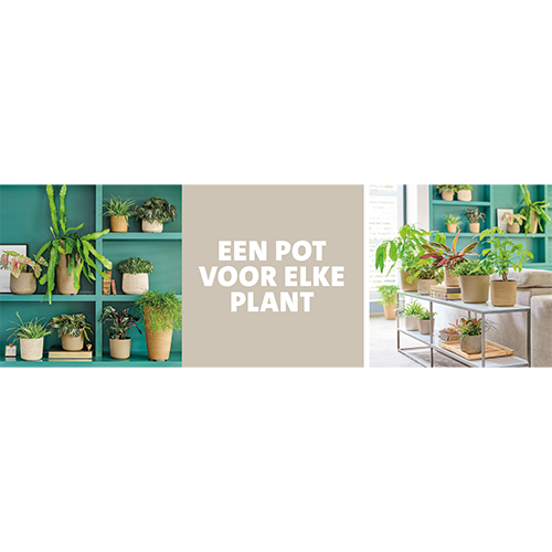 Paneel Koofsigning set: 1988x988 + 988x988. Een pot voor elke plant
