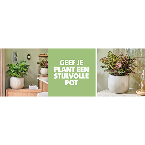 Paneel Koofsigning set: 1988x988 + 988x988. Geef je plant een stijlvolle pot