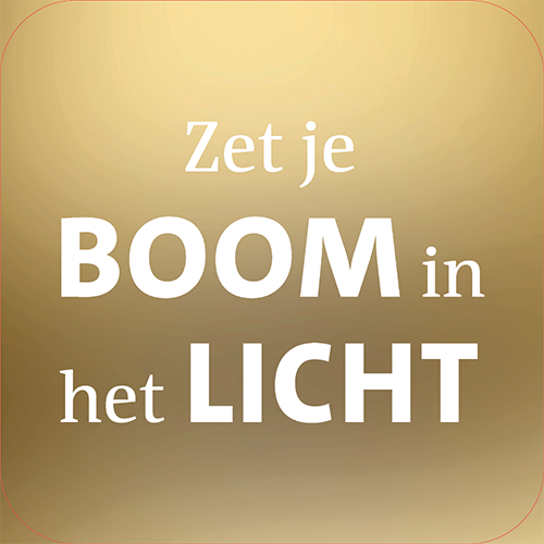 Koofsigning: 720 x 720 mm. Zet je boom in het licht tekst goud