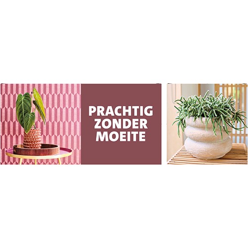 Paneel Koofsigning set: 1988 x 988mm + 988 x 988mm. Zijden planten- Prachtig zonder moeite