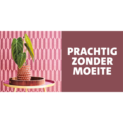 Paneel: Koofsigning 1988 x 988mm. Prachtig zonder moeite