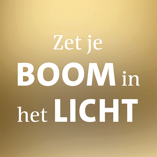 Koofsigning: 988 x 988 mm. Zet je boom in het licht tekst goud