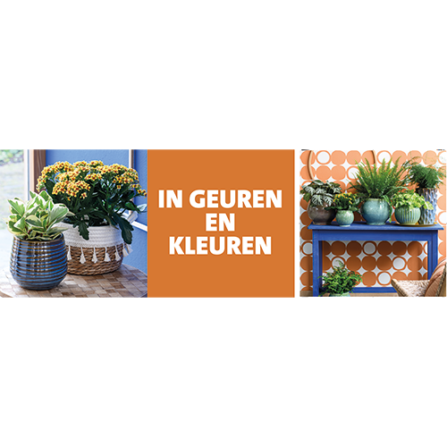 Paneel Koofsigning set: 1988 x 988mm + 988 x 988mm. In geuren en kleuren