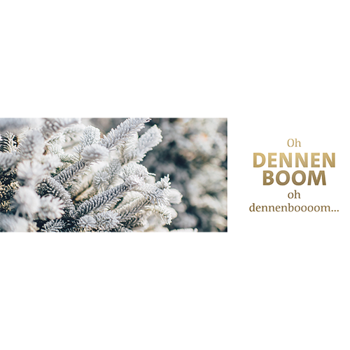Koofsigning set: 1988 x 988 mm + 988 x 988 mm. Dennenboom