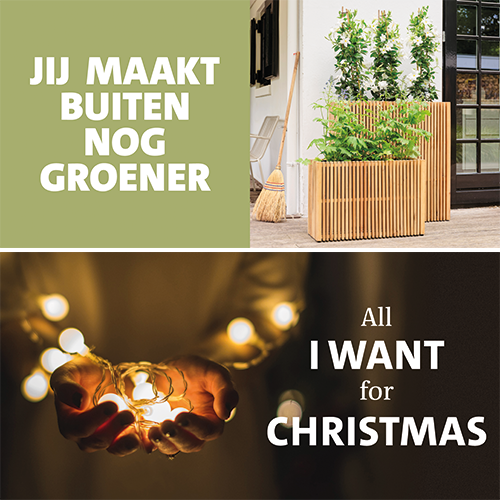 Koofsigning: 1988 x 988 mm. Buitenpotterie Buiten nog groener + Kerst