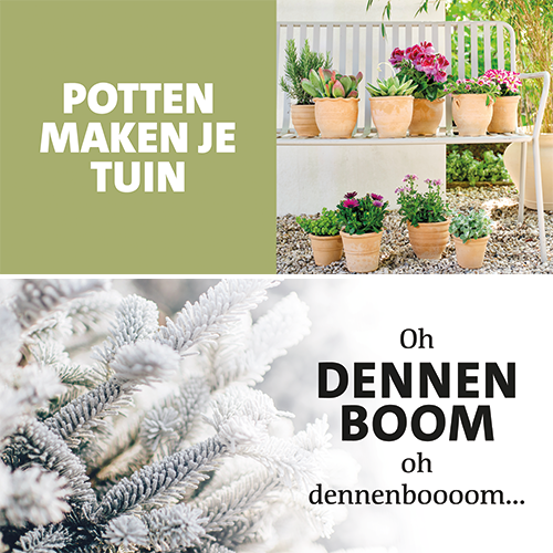 Koofsigning: 1988 x 988 mm. Buitenpotterie Potten maken je tuin + Kerst