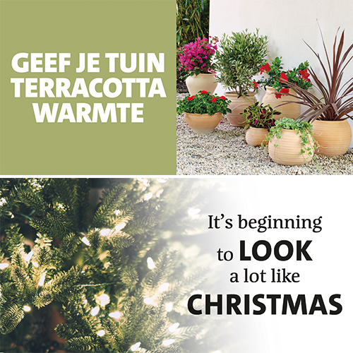 Koofsigning: 1988 x 988 mm. Buitenpotterie Terracotta warmte + Kerst