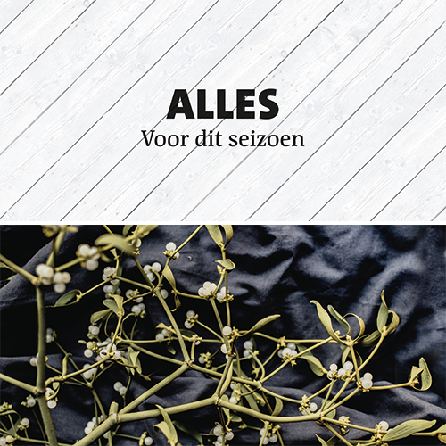 Koofsigning dubbelzijdig: 1988 x 988 mm. Tuinwinkel Alles + Kerst