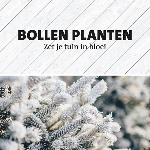 Koofsigning dubbelzijdig: 1988 x 988 mm. Tuinwinkel Bollen planten + Kerst