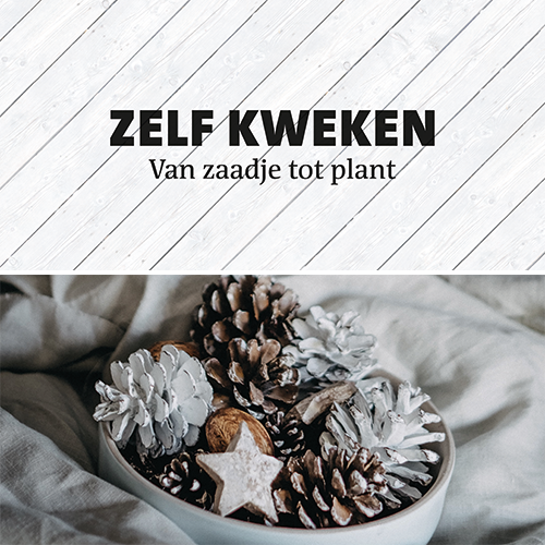 Koofsigning dubbelzijdig: 1988 x 988 mm. Tuinwinkel Zelf kweken + Kerst