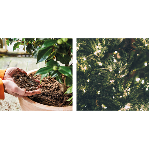 Koofsigning dubbelzijdig: 988 x 988 mm. Tuinwinkel Voeding beeld + Kerst