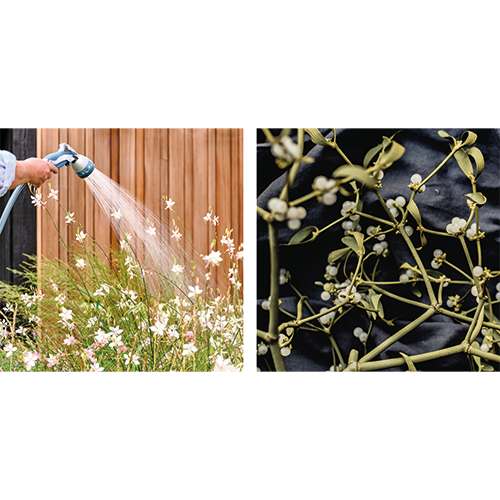 Koofsigning dubbelzijdig: 988 x 988 mm. Tuinwinkel Sproeien beeld + Kerst