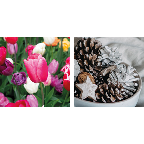 Koofsigning dubbelzijdig: 988 x 988 mm. Tuinwinkel Tulpen beeld + Kerst
