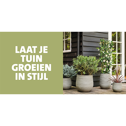 Koofsigning: 1988x988. Groeien in stijl