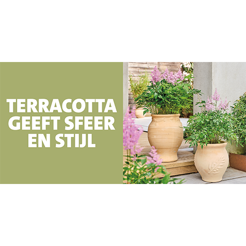 Koofsigning: 1988x988. Terracotta sfeer en stijl
