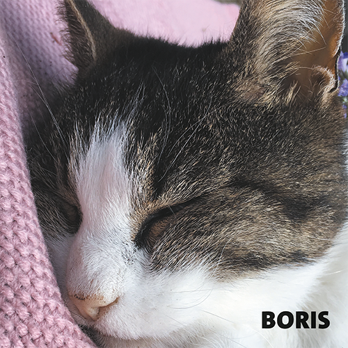 Magneetfolie: 988 x 988 mm. Kat 1 - Boris