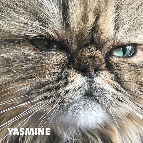 Magneetfolie: 988 x 988 mm. Kat 5 - Yasmine