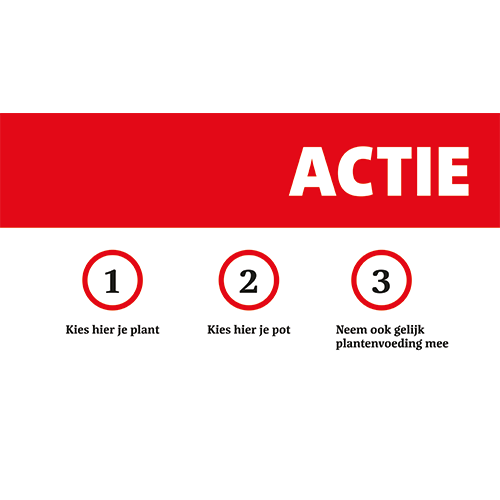 Paneel: 528 x 290 mm. <br>Prijs en gemak - brug opstelling