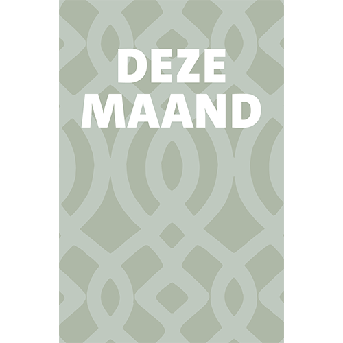 Magneetfolie: 985 x 1500 mm. <br>Deze maand