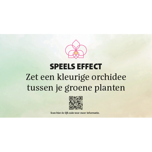 Paneel: 528 x 290 mm. <br>Brugopstelling Orchidee