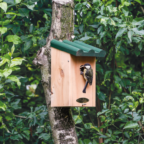 Paneel Koofsigning: 988 x 988 mm. Toronto