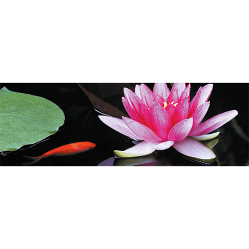 Paneel: 2988 x 988 mm. <br>Vis vijver beeld