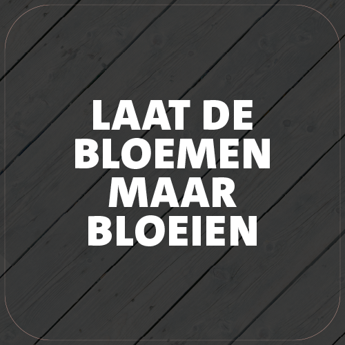 Paneel Koofsigning: 720 x 720 mm. Bloeien tekst